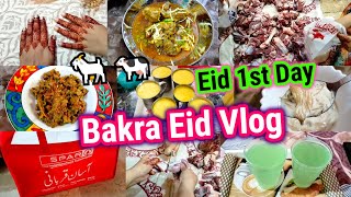 Bakra Eid Vlog 2023 🐐🐄  First Time Qurbani Live Dekhi  Eid 1st Day 😍  Eid Celebration With Family [upl. by Anitsyrhc192]