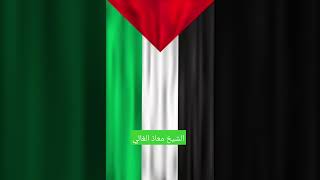 FREE PALESTINE🇵🇸 القرآنالكريم quran القرآن [upl. by Abbotsun589]