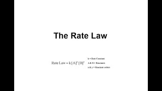 The Rate Law [upl. by Kcirdaed482]