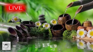 🔴 Relaxing Music 247 Stress Relief Music Meditation Spa Sleep Zen Calming Music Study Yoga [upl. by Salene278]