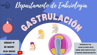 ASESORÍA GASTRULACIÓN [upl. by Nostets]