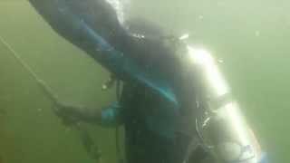 Ontario Aquaculture  Scuba Diving a Cage Site [upl. by Golter59]