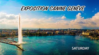 Exposition Canine Genève  SATURDAY [upl. by Emmet]