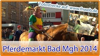 Pferdemarkt in Bad Mergentheim begeistert Tausende  by Fränkische Nachrichten [upl. by Gemoets]