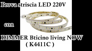 Prova striscia LED 220V con DIMMER Bticino living now K4411C [upl. by Dickerson]