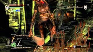 Demons Souls Expert Walkthrough 12  BOSS Leechmonger Defeated Istarelle Obtained [upl. by Ignacius]