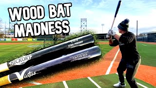 Old Hickory MT27 Maple vs Victus TATIS23 Maple  Wood Bat Madness 10  Episode 1 [upl. by Mattox]