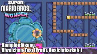 AbzeichenTest Profi Unsichtbarkeit 1 Guide für Super Mario Bros Wonder [upl. by Neyuh781]