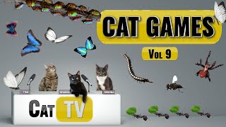 CAT Games  Ultimate Cat TV Bugs and Butterflies Compilation Vol 9 🐝🐞🦋🦗🐜  Videos For Cats to Watch [upl. by Auhso]