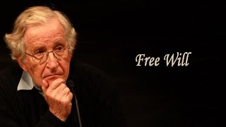 Noam Chomsky  Free Will II [upl. by Nayd]