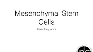 Mesenchymal Stem Cell [upl. by Antonia]