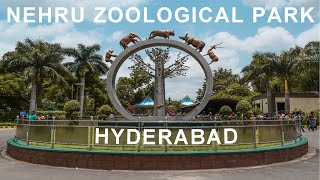 NEHRU ZOOLOGICAL PARK  HYDERABAD  TELANGANA nehruzoologicalpark hyderabad [upl. by Anawik]