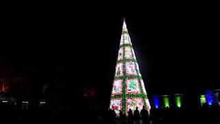 Longleat festival of light christmas tree 08112019 [upl. by Mirelle]