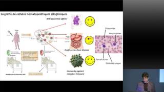 La transplantation de cellules souches et de moelle osseuse  des traitements tournés vers l’avenir [upl. by Yattirb]