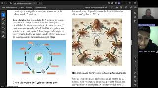 Control biológico de Tetranychus urticae por parte de Typhlodromus pyri en frutales y ornamentales [upl. by Agatha]