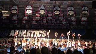 Cheer Athletics Cheetahs 2018 NCA Show Off [upl. by Ynobe]