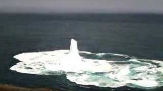 Iceberg collapses off of Signal Hill  North Trail [upl. by Enyamart]