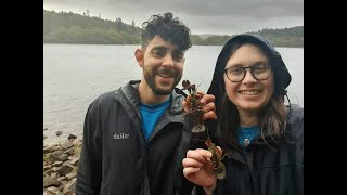 Learn about Signal Crayfish at Burrator Reservoir with South West Lakes Trust [upl. by Jereme]