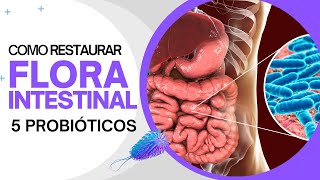 Como restaurar a flora intestinal com 5 probióticos incríveis Tratamento Natural [upl. by Demott]