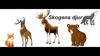 skogens djur [upl. by Rehtaeh]