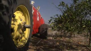 Fighting Citrus Greening Disease  Americas Heartland [upl. by Krystyna]