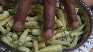 village cooking white Kanthari Mulaku Recipe  Cooking By Village food Recipes [upl. by Zucker]