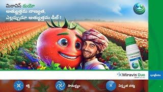 Syngenta  Miravis Duo  Tomato  Motion Poster  Telugu [upl. by Aynam]