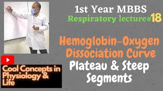 18 Hemoglobin Oxygen Dissociation Curve Part2 Plateau and Steep Segments  1st Year MBBS lectures [upl. by Aitam693]