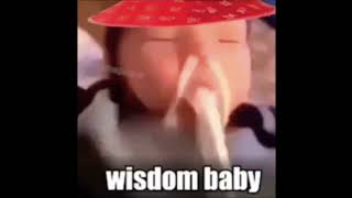 Wisdom baby meme song [upl. by Rabbaj]