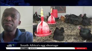 SA dealing with egg shortage [upl. by Innavoeg]