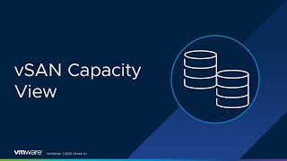 vSAN Capacity View [upl. by Ethelred]