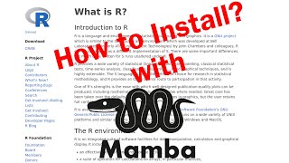 How to install R using Mamba [upl. by Fruma]