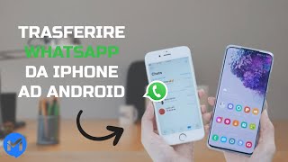 Come Trasferire WhatsApp da iPhone a Android 🚀📱  Guida Passo Passo [upl. by Undry496]