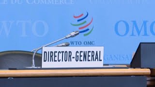 WTO sucht Frau  für quotknifflige Themenquot [upl. by Ttenaj]