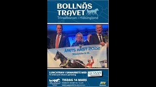 Bollnästravet 230314 Kval Premie [upl. by Isewk]