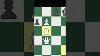 2 QUEENS  Chess Memes shorts chess chessmemes [upl. by Filberte]