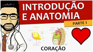 Coração 01  Intro e Anatomia P1 mediastino faces e margens  Vídeo aula de Sistema Circulatório [upl. by Ehcnalb]