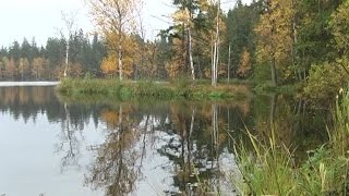 Marienbad im Herbst  Eine Reise nach Tschechien [upl. by Aelram367]