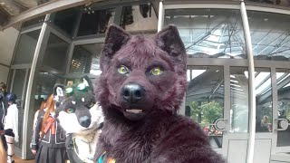 Fursuitwalk auf der Mex Manga Convention 2023 Berlin [upl. by Sello506]