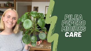 Pilea Peperomioides care 🌱  Watering propagation common problems [upl. by Sanburn]