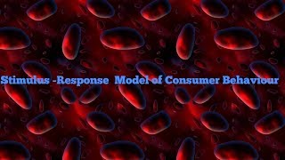 Stimulus Response Model of Consumer Behaviour [upl. by Nadbus]