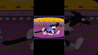 Itchy amp Scratchy  100 Yard Gash funny cartoon explore [upl. by Yhotmit394]