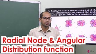 12Chemistry  Quantum mechanical model of atom  Radial Node amp Angular distribution function [upl. by Enajharas]