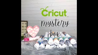 Cricut MYSTERY BOX Snowbird Reveal [upl. by Ynnad]