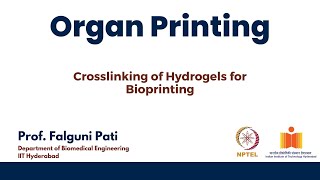 Crosslinking of Hydrogels for Bioprinting [upl. by Fagen165]