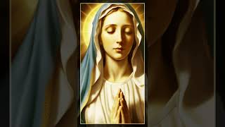 Virgin Mary Our Divine Protector and Guide VirginMary DivineProtection Faith CatholicPrayer [upl. by Colinson]