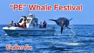 Port Elizabeth Whale Festival  2024  PurityKhosa THE4REIGNER whale gqeberha pe [upl. by Brinson]