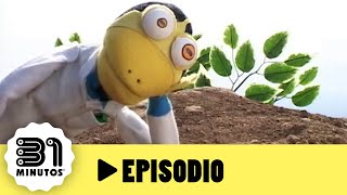 31 minutos  Episodio 102  El árbol furioso [upl. by Dnalevelc742]