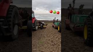 Learn how to plant apple trees agriculture shorts [upl. by Joash]