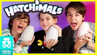 NEW HATCHIMALS MAGICAL SURPRISE EGG OPENING CHALLENGE Kids Toy Review  KITTIESMAMA [upl. by Balthasar174]